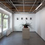 182 1/2, 2020 – ongoing