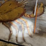 Soliloquio – Screening: 16 and 17 September at 12 am