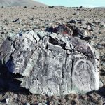 Die Post-Nomadische Erfahrung @ THEgallery